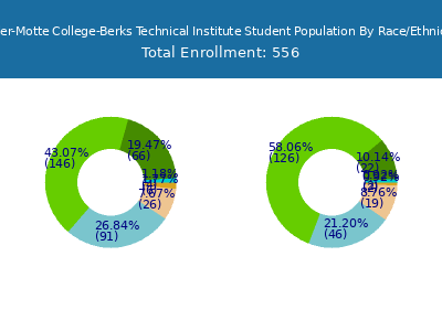 Miller-Motte College-Berks Technical Institute 2025 Student Population by Gender and Race chart