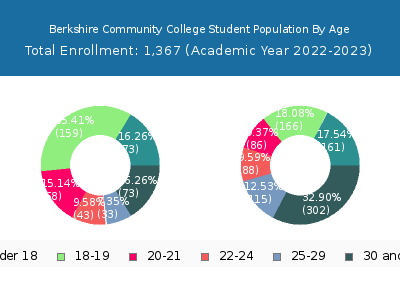 Berkshire Community College 2023 Student Population Age Diversity Pie chart