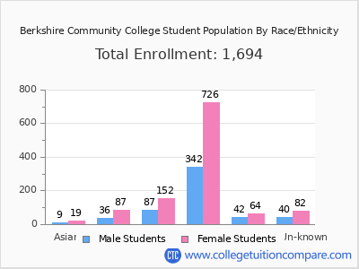 Berkshire Community College 2025 Student Population by Gender and Race chart