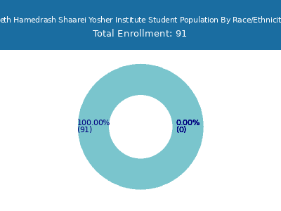 Beth Hamedrash Shaarei Yosher Institute 2025 Student Population by Gender and Race chart