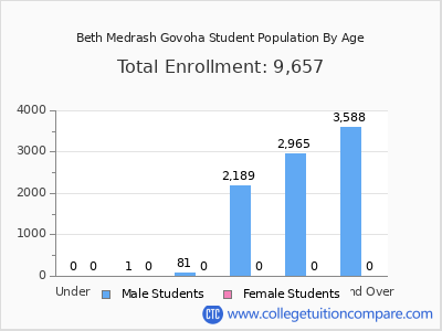 Beth Medrash Govoha 2024 Student Population by Age chart