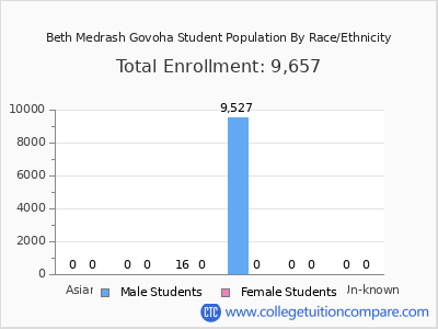Beth Medrash Govoha 2025 Student Population by Gender and Race chart