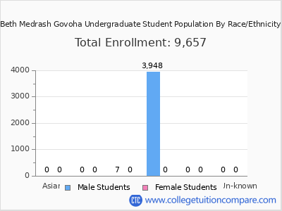 Beth Medrash Govoha 2025 Undergraduate Enrollment by Gender and Race chart