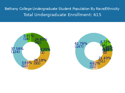 Bethany College 2025 Undergraduate Enrollment by Gender and Race chart