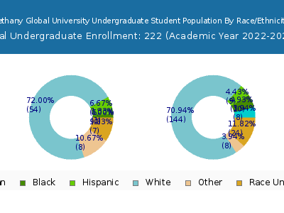 Bethany Global University 2023 Undergraduate Enrollment by Gender and Race chart