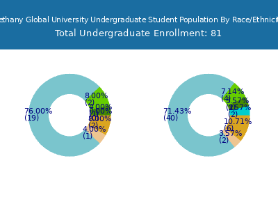 Bethany Global University 2025 Undergraduate Enrollment by Gender and Race chart