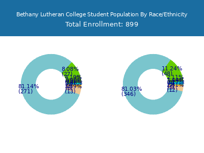 Bethany Lutheran College 2025 Student Population by Gender and Race chart