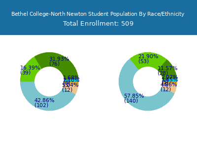 Bethel College-North Newton 2025 Student Population by Gender and Race chart