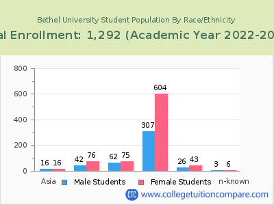 Bethel University 2023 Student Population by Gender and Race chart