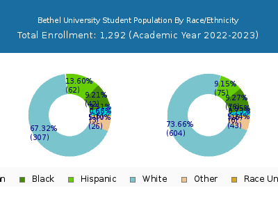 Bethel University 2023 Student Population by Gender and Race chart