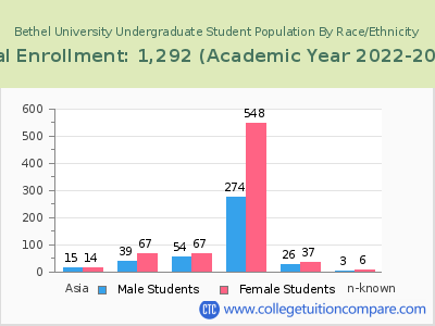 Bethel University 2023 Undergraduate Enrollment by Gender and Race chart
