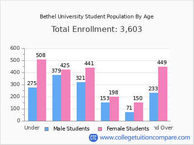 Bethel University 2025 Student Population by Age chart