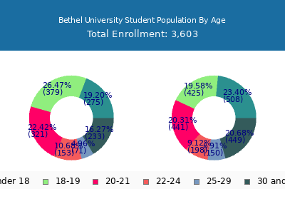 Bethel University 2025 Student Population Age Diversity Pie chart