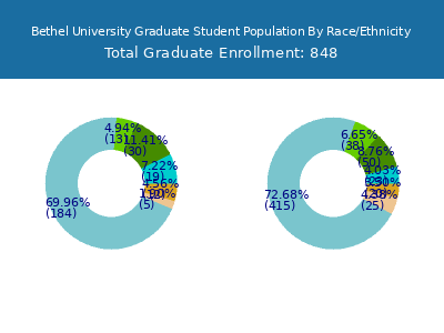 Bethel University 2025 Graduate Enrollment by Gender and Race chart