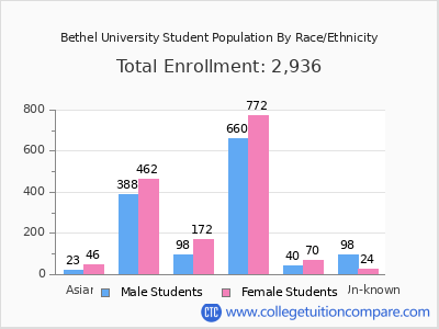 Bethel University 2025 Student Population by Gender and Race chart