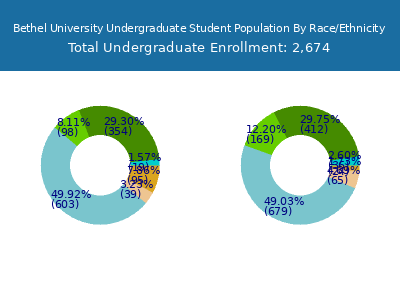 Bethel University 2025 Undergraduate Enrollment by Gender and Race chart