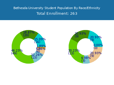 Bethesda University 2025 Student Population by Gender and Race chart