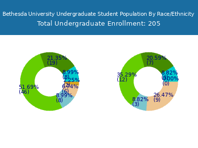 Bethesda University 2025 Undergraduate Enrollment by Gender and Race chart