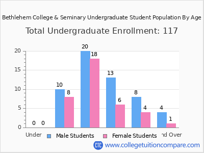 Bethlehem College & Seminary 2024 Undergraduate Enrollment by Age chart