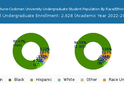 Bethune-Cookman University 2023 Undergraduate Enrollment by Gender and Race chart