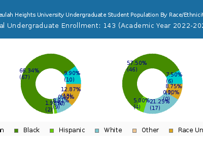 Beulah Heights University 2023 Undergraduate Enrollment by Gender and Race chart