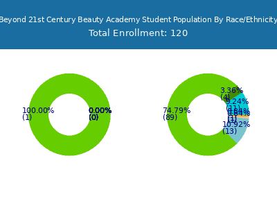 Beyond 21st Century Beauty Academy 2025 Student Population by Gender and Race chart