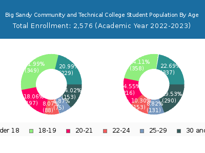 Big Sandy Community and Technical College 2023 Student Population Age Diversity Pie chart