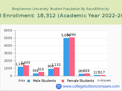 Binghamton University 2023 Student Population by Gender and Race chart