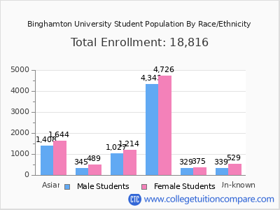 Binghamton University 2025 Student Population by Gender and Race chart
