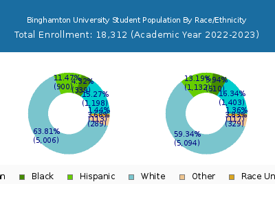 Binghamton University 2023 Student Population by Gender and Race chart