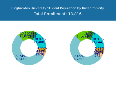 Binghamton University 2025 Student Population by Gender and Race chart