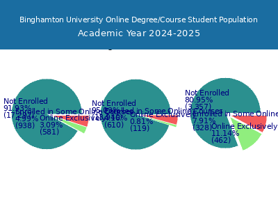 Binghamton University 2025 Online Student Population chart