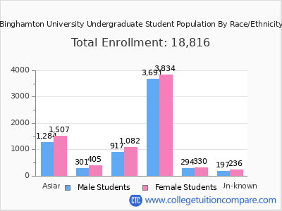 Binghamton University 2025 Undergraduate Enrollment by Gender and Race chart