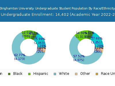 Binghamton University 2023 Undergraduate Enrollment by Gender and Race chart