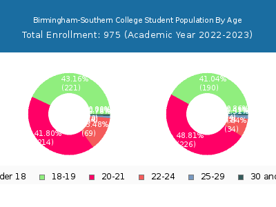 Birmingham-Southern College 2023 Student Population Age Diversity Pie chart