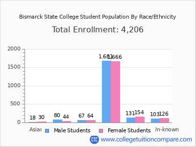 Bismarck State College 2025 Student Population by Gender and Race chart