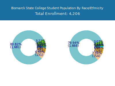 Bismarck State College 2025 Student Population by Gender and Race chart