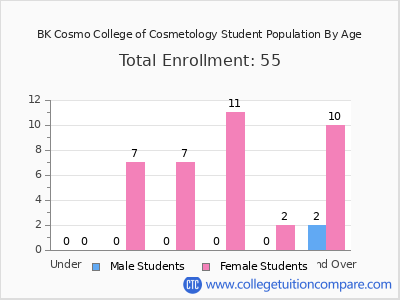 BK Cosmo College of Cosmetology 2024 Student Population by Age chart