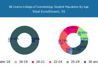 BK Cosmo College of Cosmetology 2024 Student Population Age Diversity Pie chart