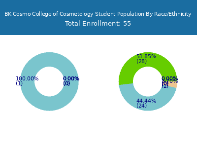 BK Cosmo College of Cosmetology 2025 Student Population by Gender and Race chart