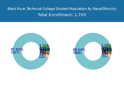 Black River Technical College 2025 Student Population by Gender and Race chart
