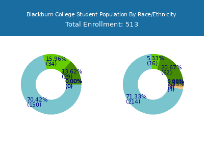 Blackburn College 2025 Student Population by Gender and Race chart