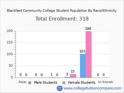 Blackfeet Community College 2025 Student Population by Gender and Race chart