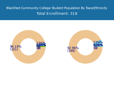 Blackfeet Community College 2025 Student Population by Gender and Race chart
