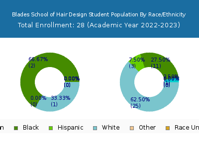 Blades School of Hair Design 2023 Student Population by Gender and Race chart