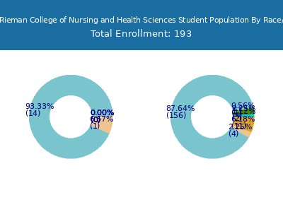 Blessing Rieman College of Nursing and Health Sciences 2025 Student Population by Gender and Race chart