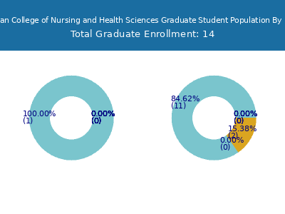 Blessing Rieman College of Nursing and Health Sciences 2025 Graduate Enrollment by Gender and Race chart