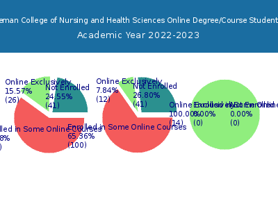 Blessing Rieman College of Nursing and Health Sciences 2023 Online Student Population chart