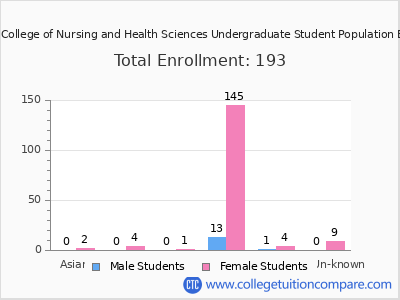 Blessing Rieman College of Nursing and Health Sciences 2025 Undergraduate Enrollment by Gender and Race chart