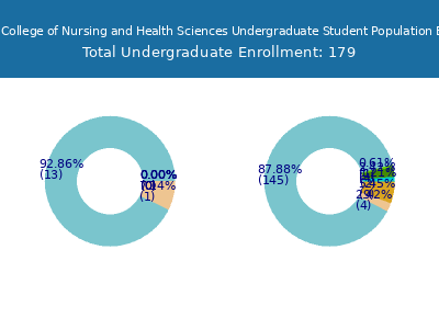 Blessing Rieman College of Nursing and Health Sciences 2025 Undergraduate Enrollment by Gender and Race chart